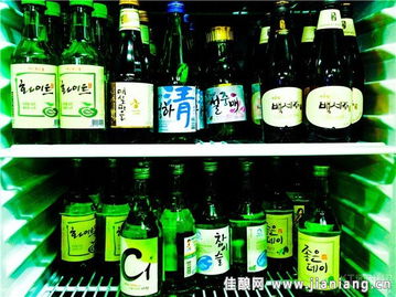 世界27種酒精飲料巡禮 從烈酒到脫醇酒的多元風味